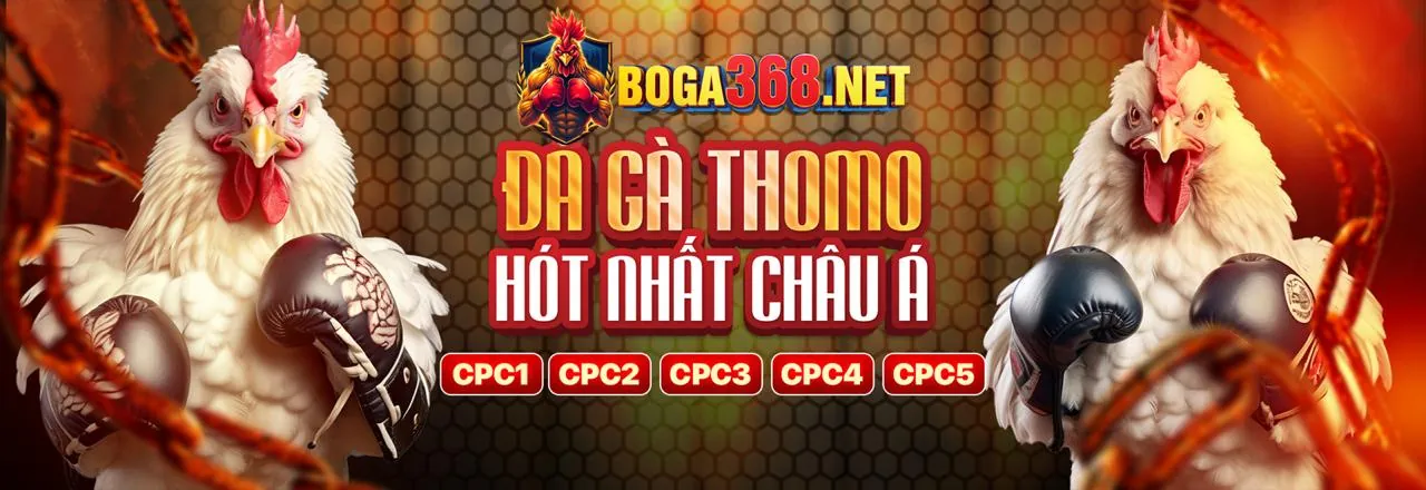 Tổng quan các loại khuyến mãi 78be